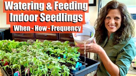 rtl frequency gardening tips